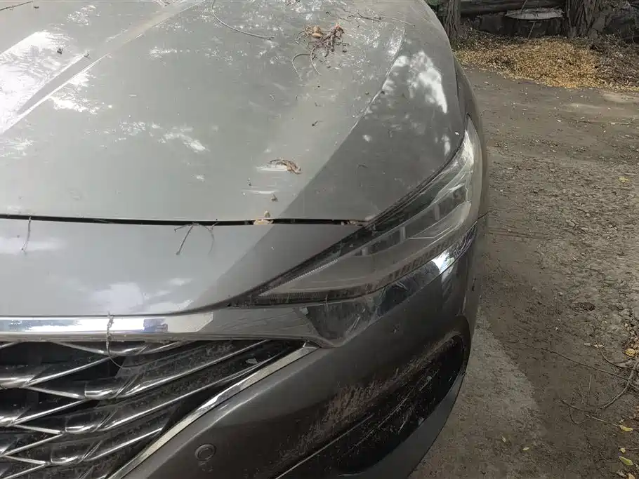 Hyundai Lafesta 2019 280TGDi VI
