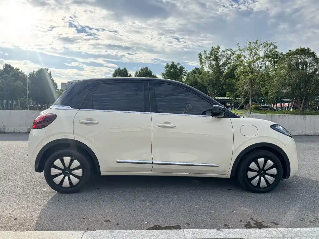 Wuling Binguo 2025 333km Enjoy