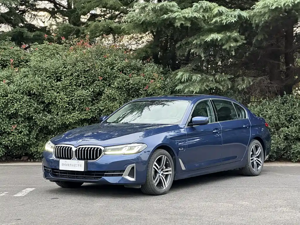 BMW 5 Series New Energy 2023