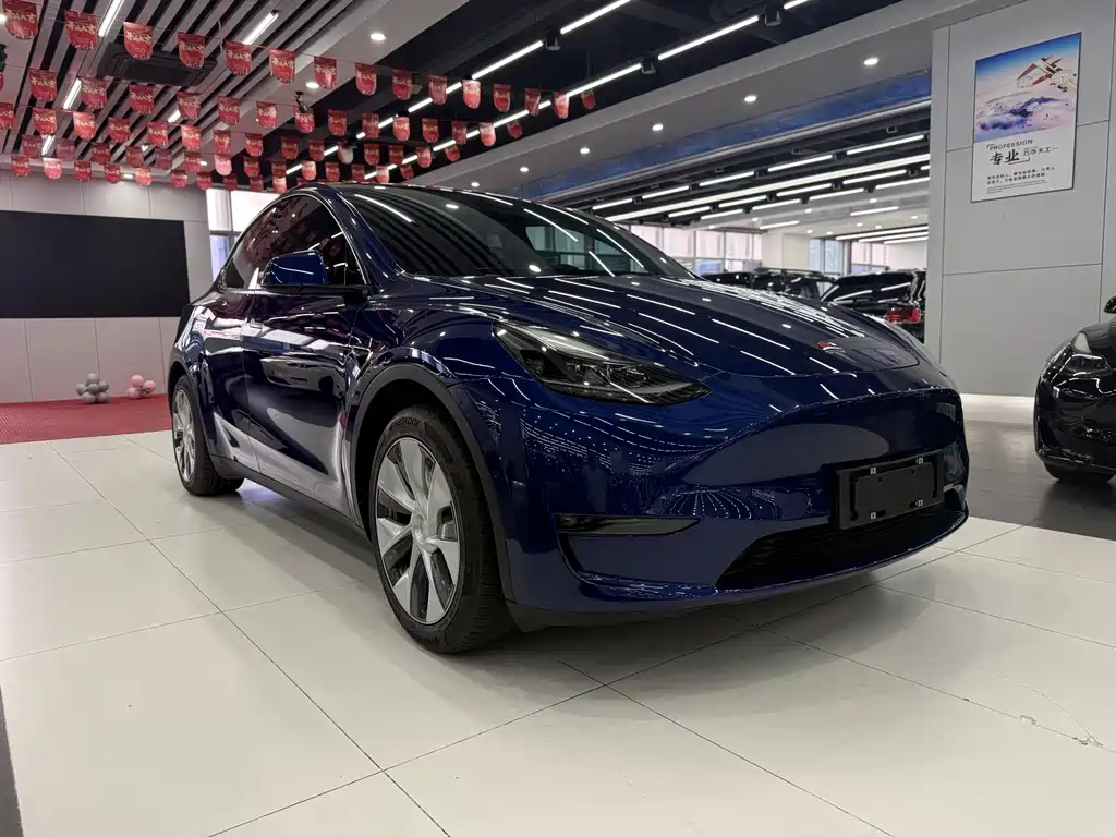 Tesla Model Y — миниатюра 3