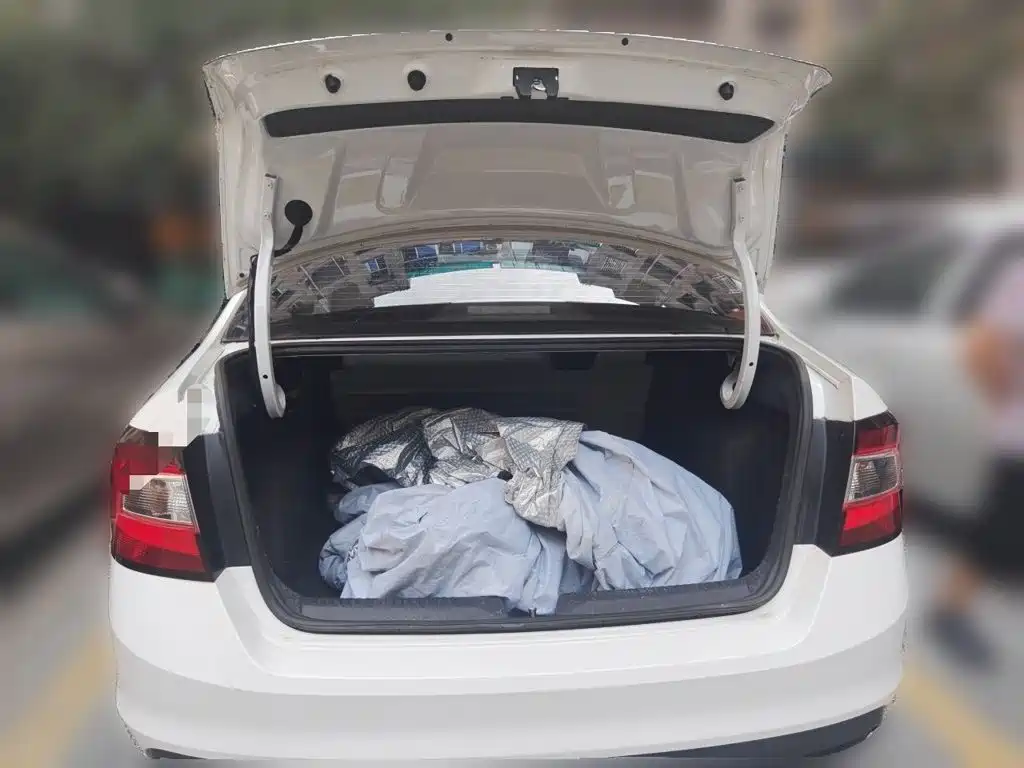 Skoda Rapid — миниатюра 15