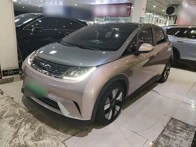 2022 BYD Dolphin