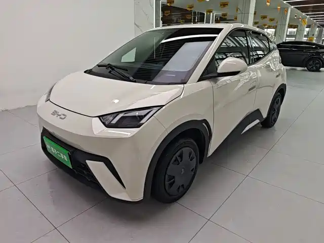 2024 BYD Seagull