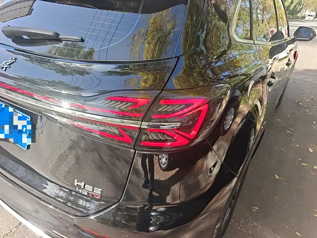 Hongqi Hongqi HS5 — миниатюра 8