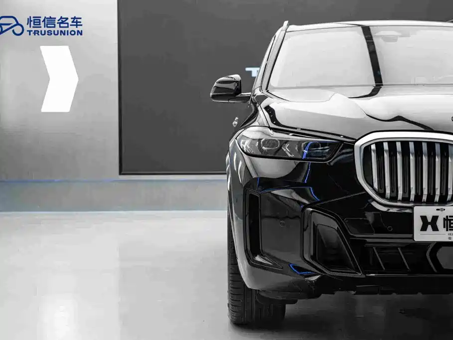 BMW X5 — миниатюра 8