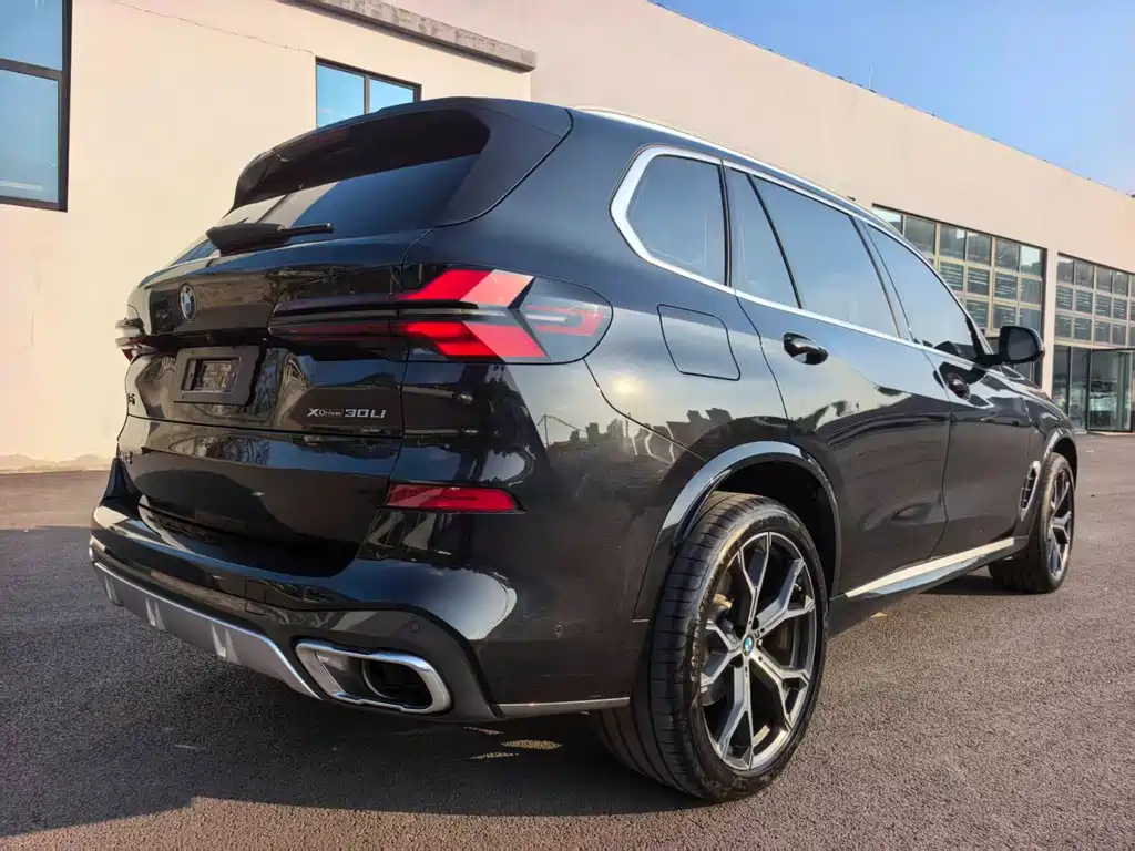 BMW X5 — миниатюра 9