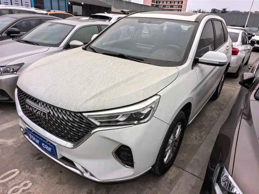 HAVAL M6
