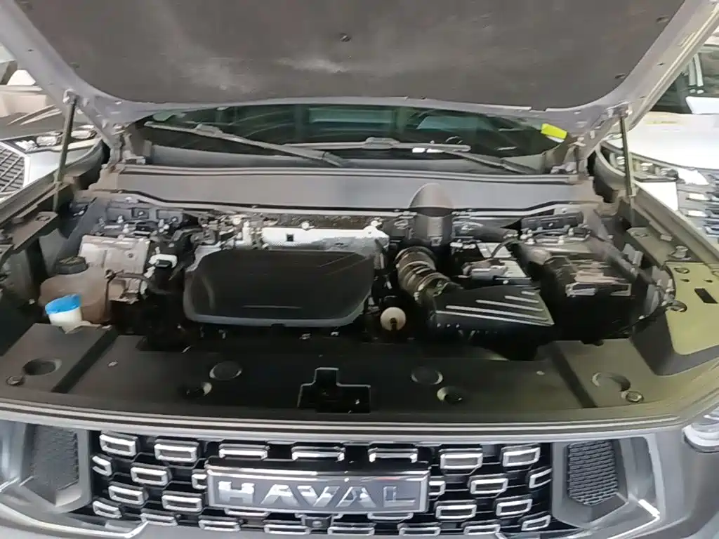 Haval Big Dog PLUS — миниатюра 20