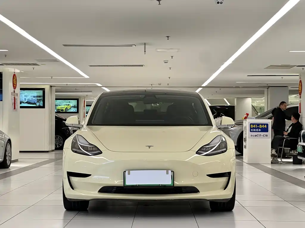TESLA MODEL 3