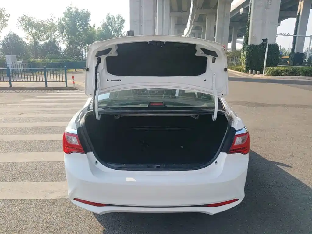 BYD F3 — миниатюра 19