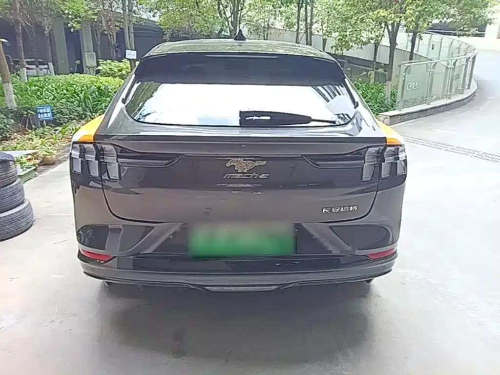 Ford Mustang Mach-E — миниатюра 6