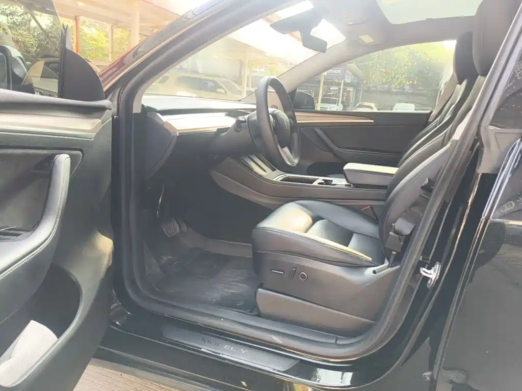 Tesla Model Y — миниатюра 16