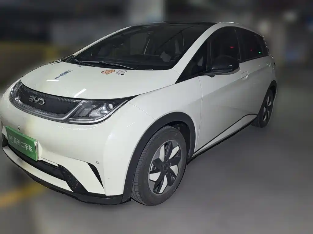 Byd Dolphin 2024