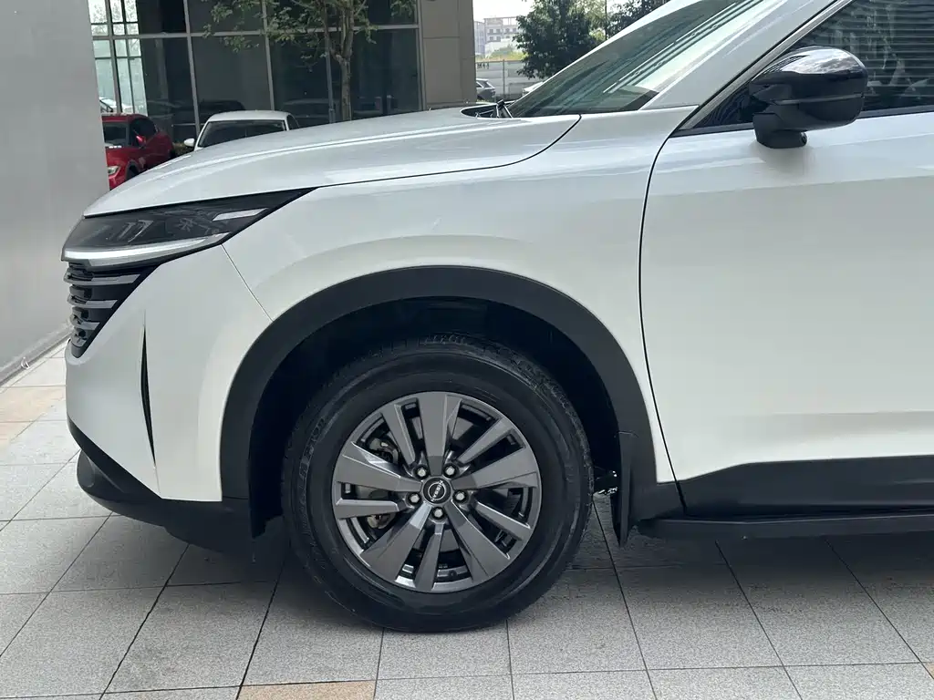 Nissan Teramont — миниатюра 5