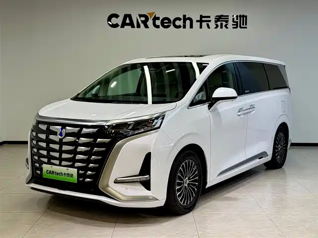 2024 Denza D9