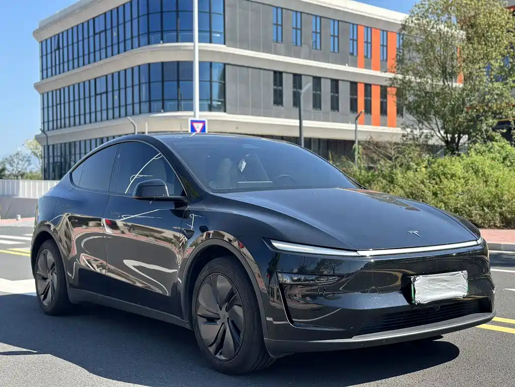 Tesla Model Y — миниатюра 3