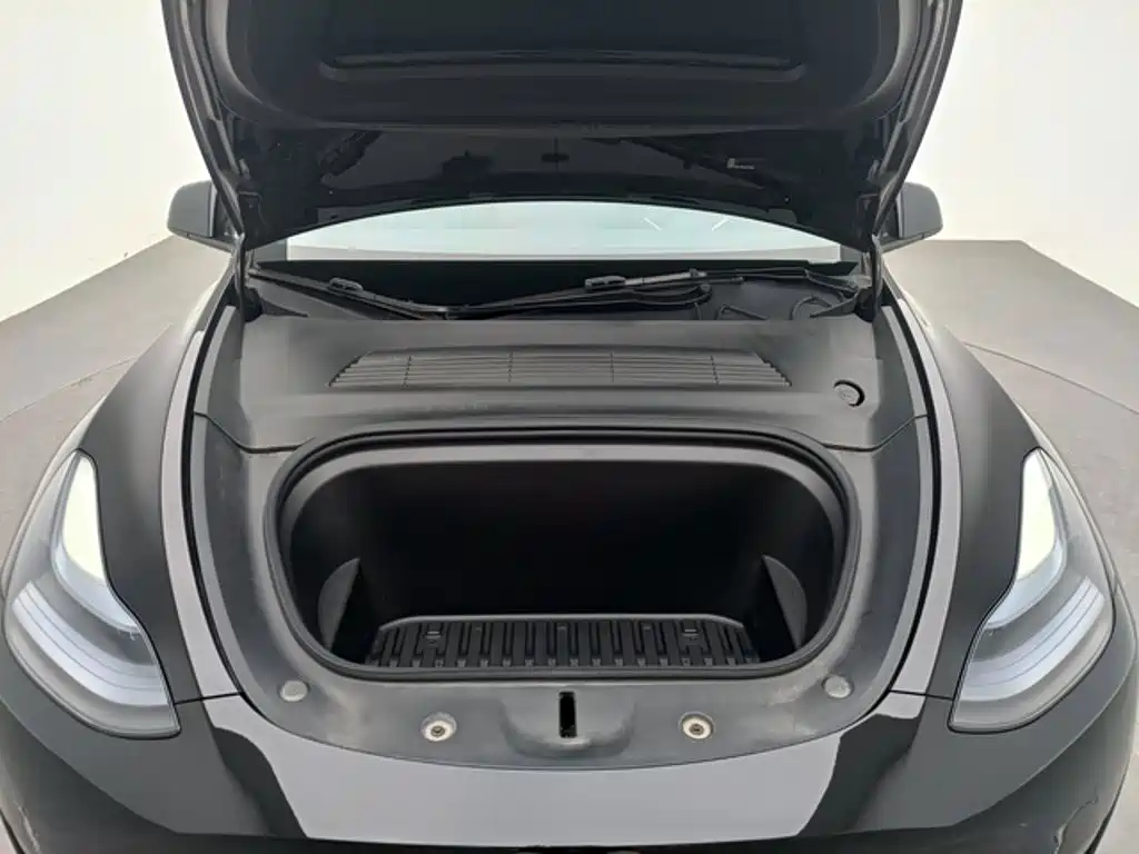Tesla Model Y — миниатюра 12