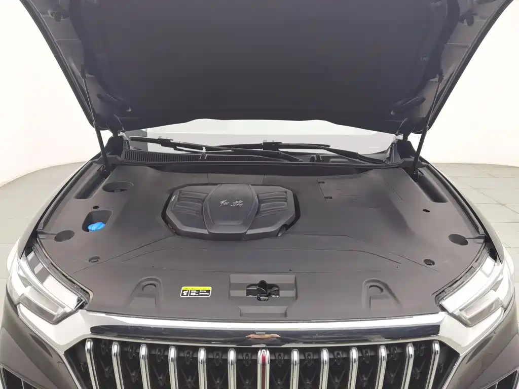 Hongqi Hongqi HS5 — миниатюра 6