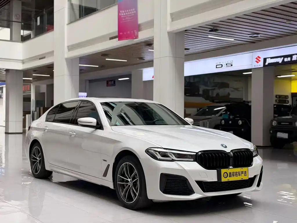 BMW 5 Series New Energy — миниатюра 3