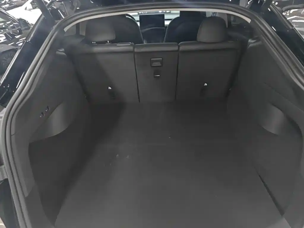 Tesla Model Y — миниатюра 19