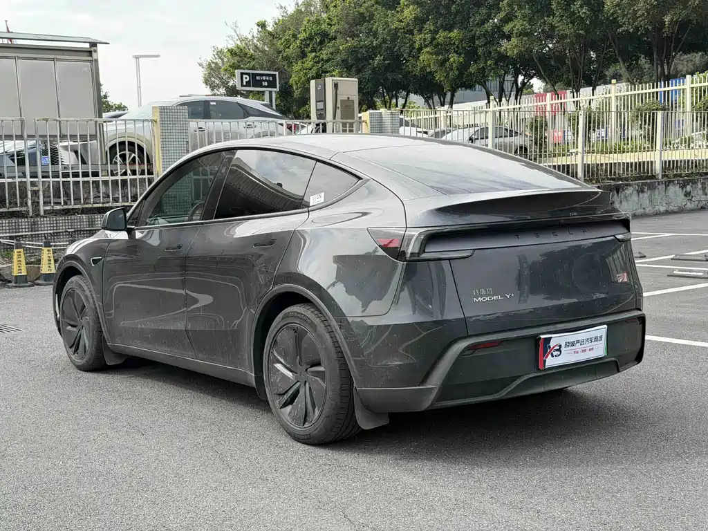 Tesla Model Y — миниатюра 17