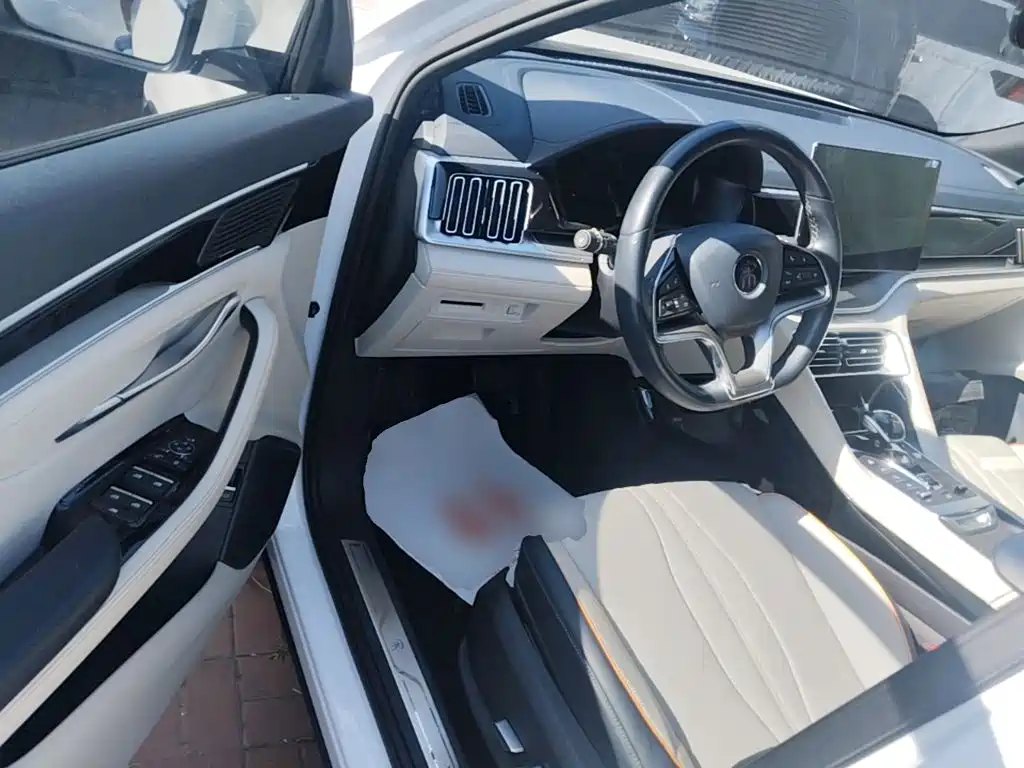 BYD PLUS New Energy — миниатюра 16