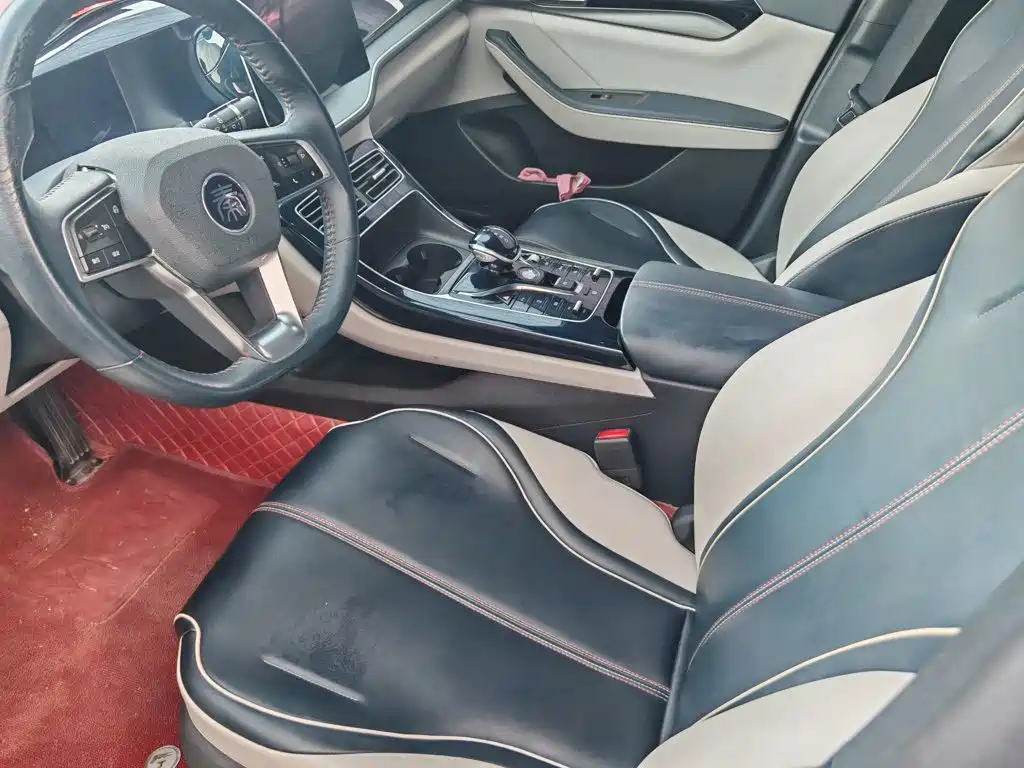 BYD Qin PLUS — миниатюра 3