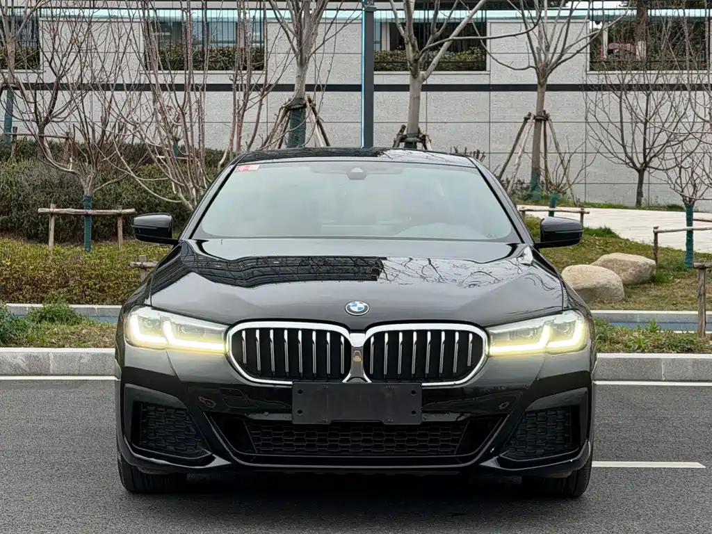 BMW 5 Series 5 2021 530Li Lead M Sport