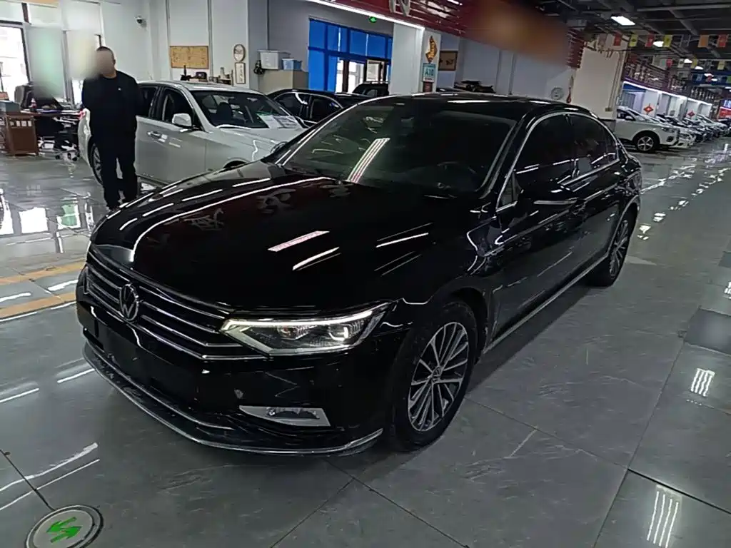 Volkswagen Magotan — миниатюра 2