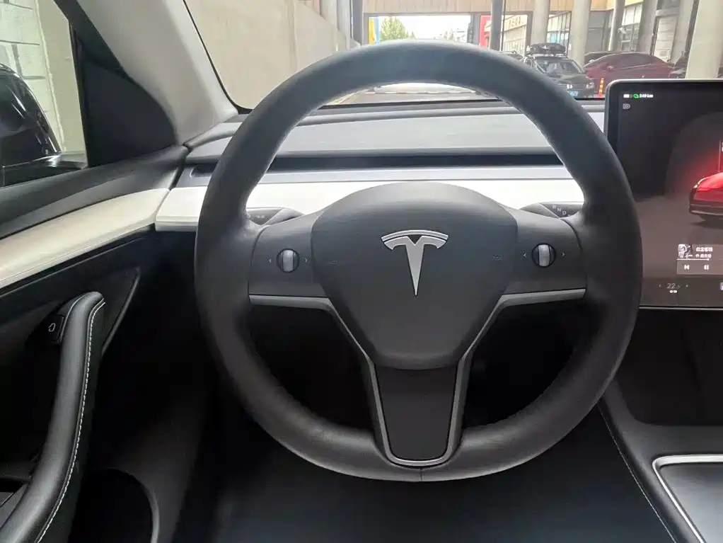 Tesla Model Y — миниатюра 13