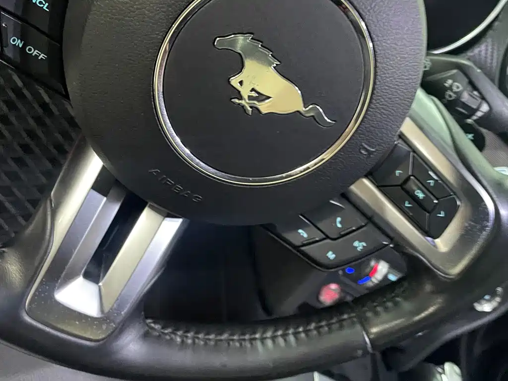 Ford Mustang — миниатюра 14