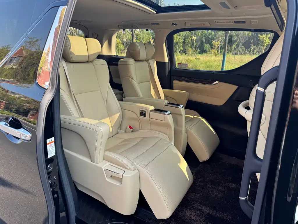 Toyota Alphard — миниатюра 11