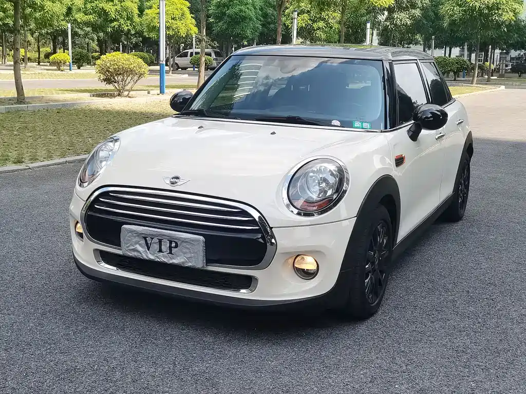 Mini Mini 2016