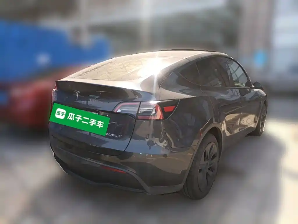 Tesla Model Y — миниатюра 6