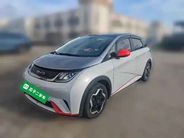 2021 BYD Dolphin