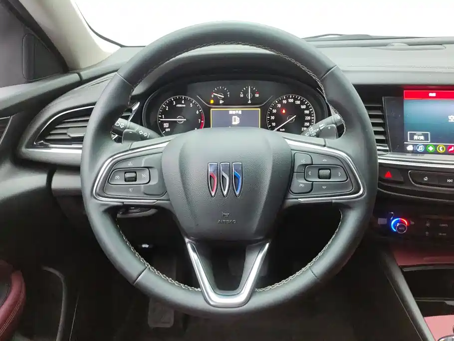 Buick Regal — миниатюра 15