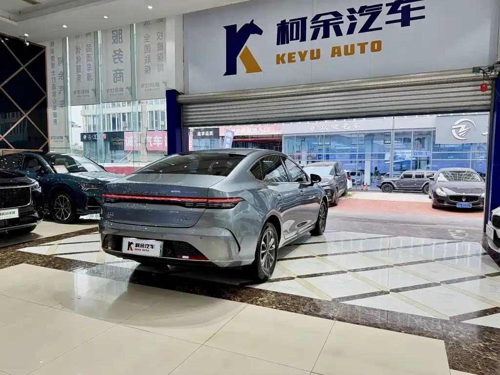 BYD Destroyer 05 — миниатюра 12