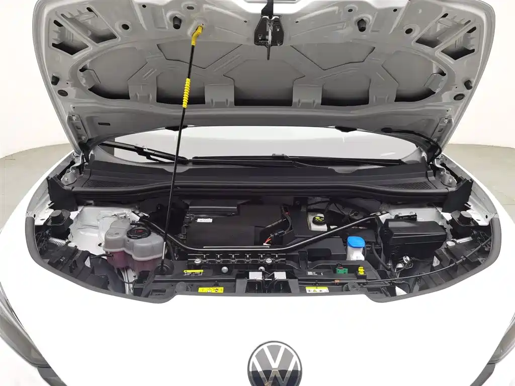 VOLKSWAGEN WITH THE CROWD 06