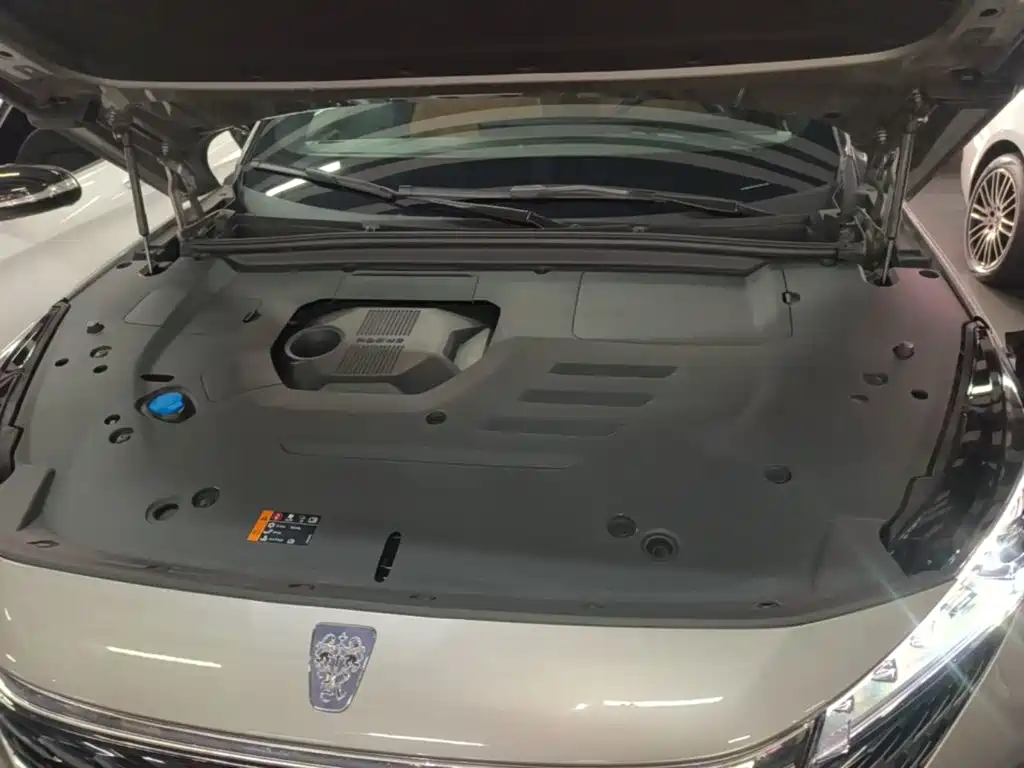 Roewe RX5 New Energy — миниатюра 20