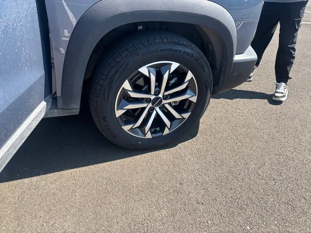 Haval Big Dog — миниатюра 12