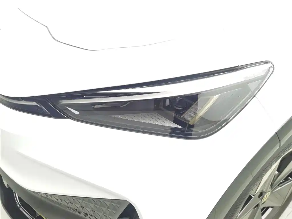 VOLKSWAGEN WITH THE CROWD 06