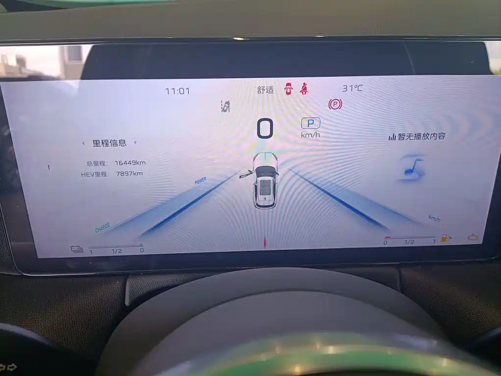 RED FLAG HONGQI HS3 PHEV