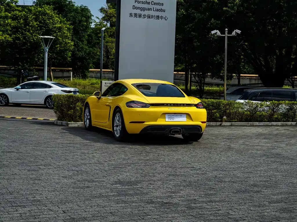 Porsche 718 — миниатюра 8