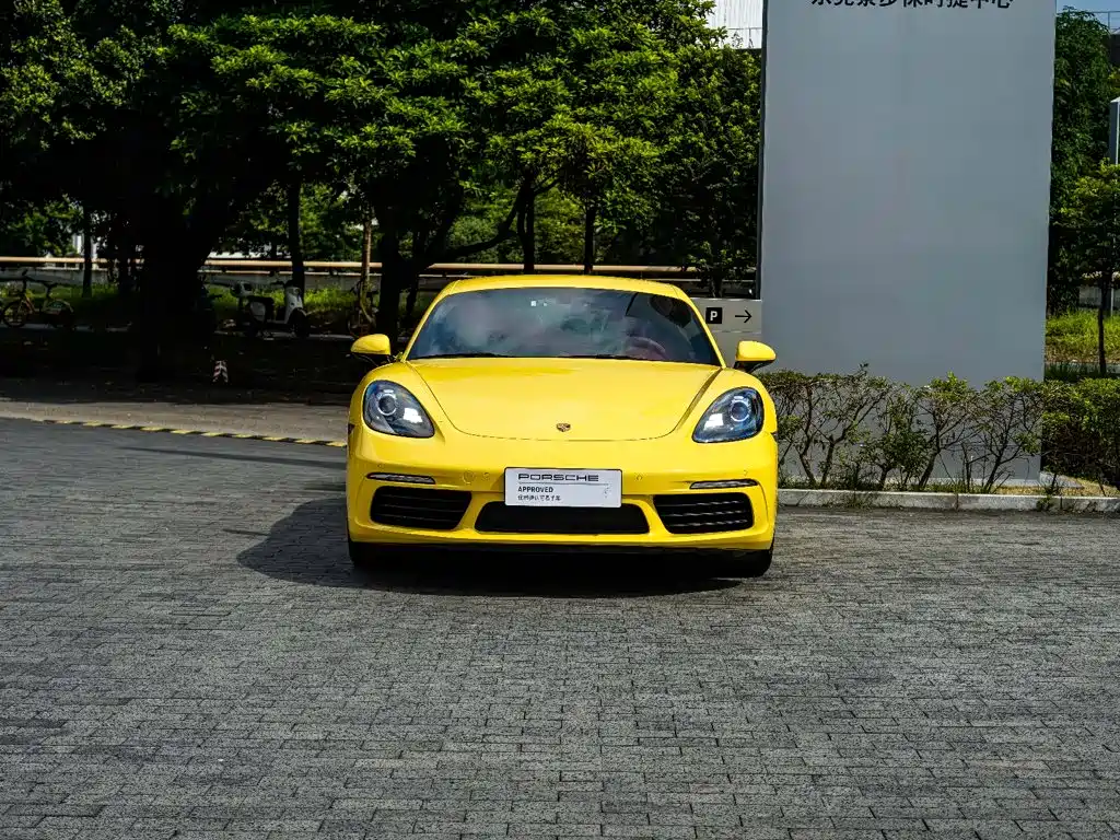 Porsche 718 — миниатюра 15