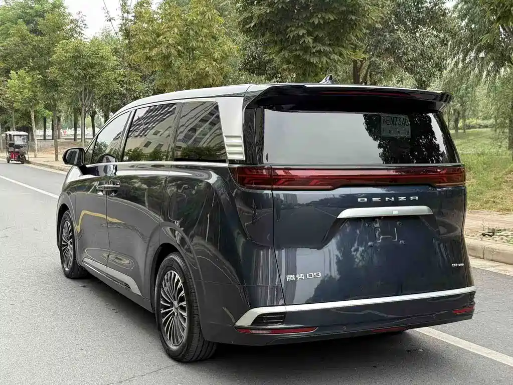 Denza Denza D9 — миниатюра 7