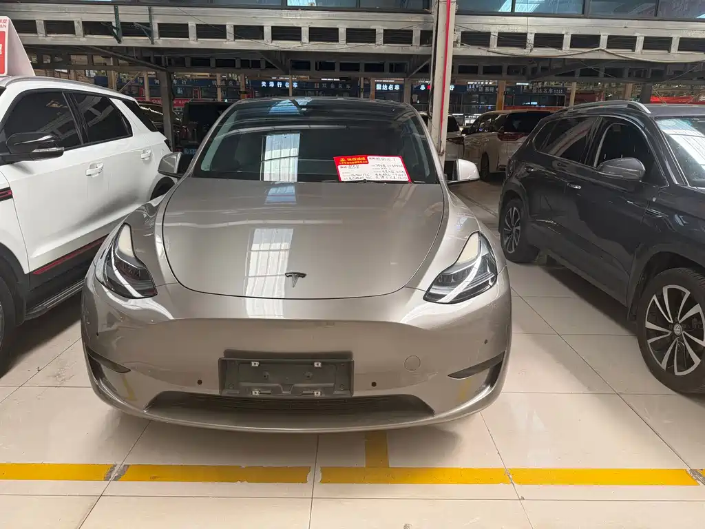 Tesla Model Y — миниатюра 4