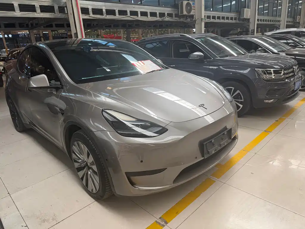 Tesla Model Y — миниатюра 5
