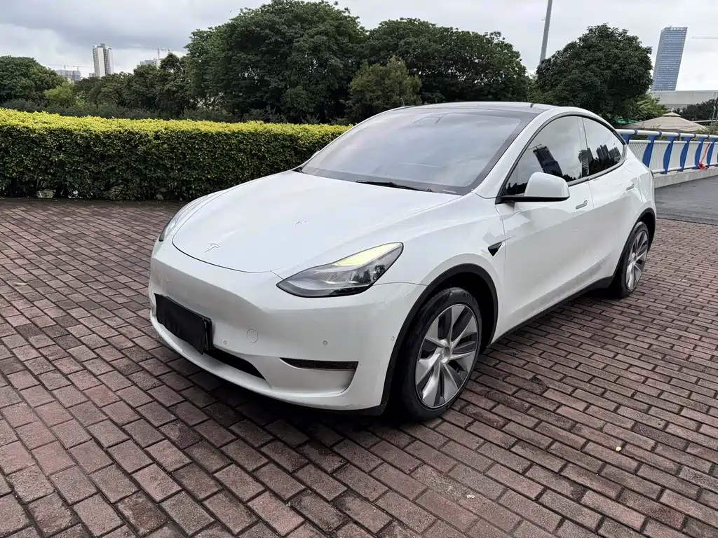 Tesla Model Y 2021