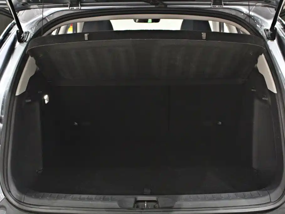 BYD Yuan Plus — миниатюра 13