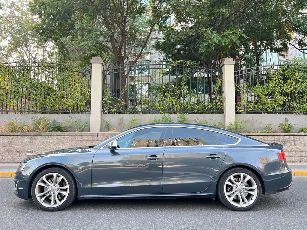 Audi S5 — миниатюра 2